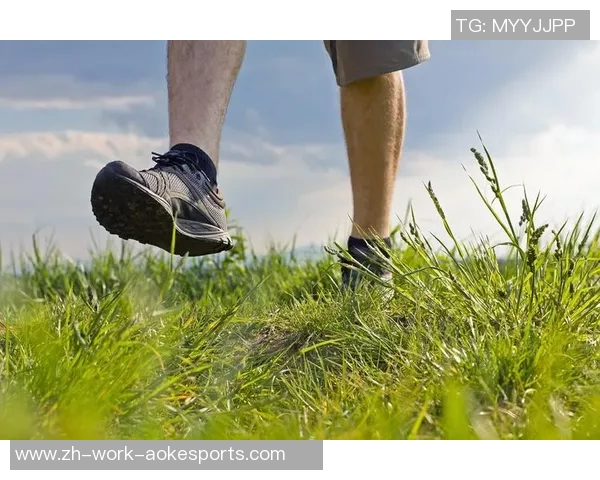 猪猪爱足球的奇妙旅程：从草地到球场的欢笑与成长